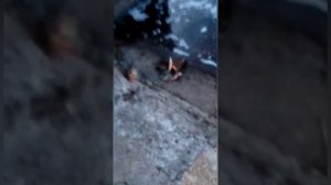 Рыбалка на паук подъёмник полосатые монстры