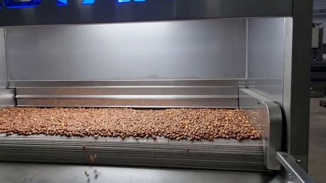Машина для обжарки ленточного типа - Nut Roasting Machine Industrial - Machine à Rôtir Bande OS 500