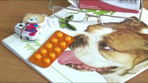 2-летняя девочка в Бийске съела бабушкины таблетки и умерла ("Будни",20.03.23г.,Бийское телевидение)