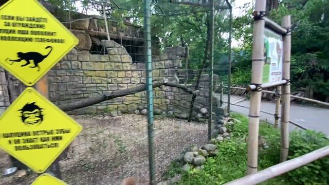 Личный охранник у капуцина! Краснодарский Сафари Парк! смотреть онлайн