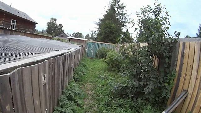 Забой уток черри велли! Покупка трактора МТЗ-82)))