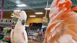 10 самых дружелюбных животных на планете