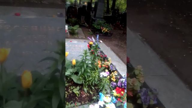 Сергей Есенин (12) смотреть онлайн