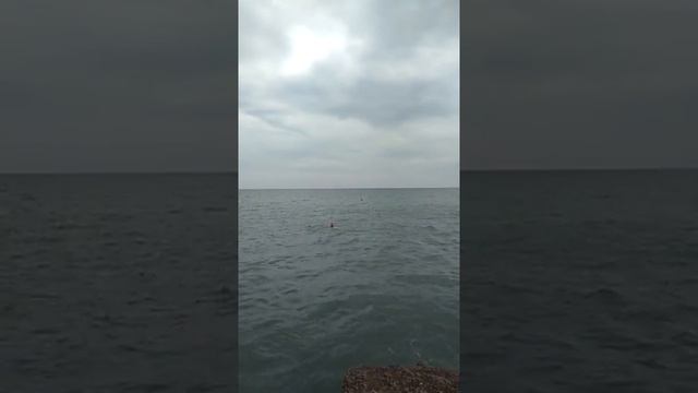 Сочи 2018.mp4