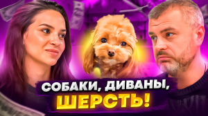 Собаки! Диваны! Шерсть! Груминг салон в центре Москвы! Продажа готового бизнеса