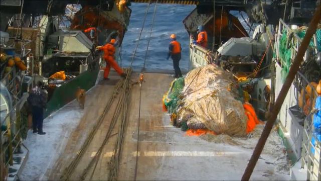 Бывает же такое!!!!Рабочий момент!!!! смотреть онлайн