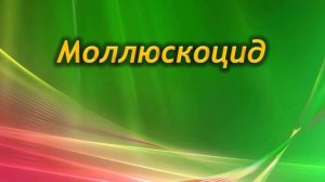 Вредители комнатной Гортензии. Как бороться с вредителями.