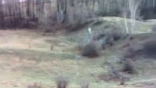 aaaaaaa смотреть онлайн