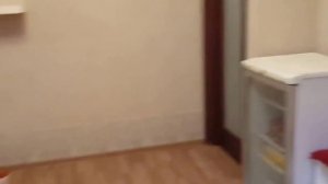 уголок для кошки
