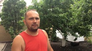 Закладывание нового газона на старый