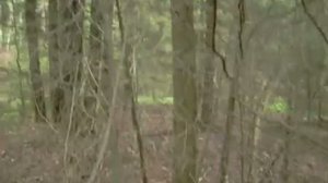 Петля для лося