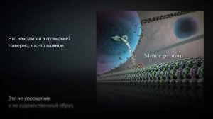 Как устроена клетка человека