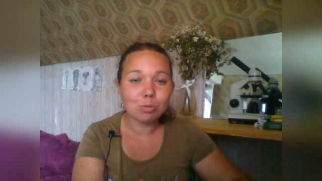 Сабельник болотный (ботаника для любознательных) смотреть онлайн