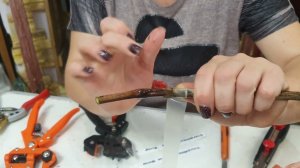 настольная прививка винограда.Часть 2. Прививка