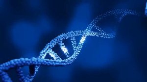 Групповая МЕДИТАЦИЯ «Исцеление САМООЦЕНКИ и ЦЕННОСТИ через ДНК» #исцеляющаямедитация #гипноз