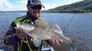 Отводной рулит! Оторвались по поклёвкам берша и судака. Рыбалка на Оке в Нижнем Новгороде.