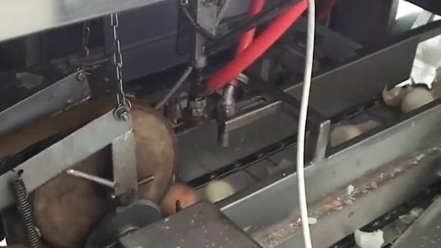 Машина очистки и обрезки лука смотреть онлайн