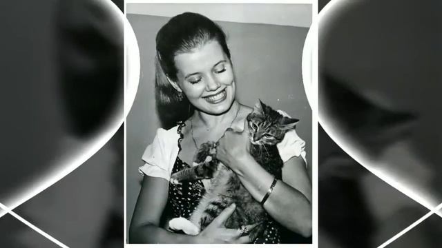 Петербург осиротел Девять дней без Людмилы Сенчиной смотреть онлайн