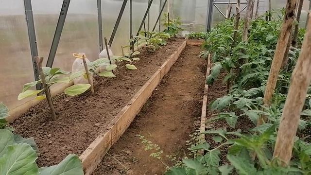 Теплицы/Капельный полив/Какой лучше