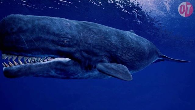 Самые ОГРОМНЫЕ ЖИВОТНЫЕ За Всю Историю Земли! Сравнение Размеров смотреть онлайн