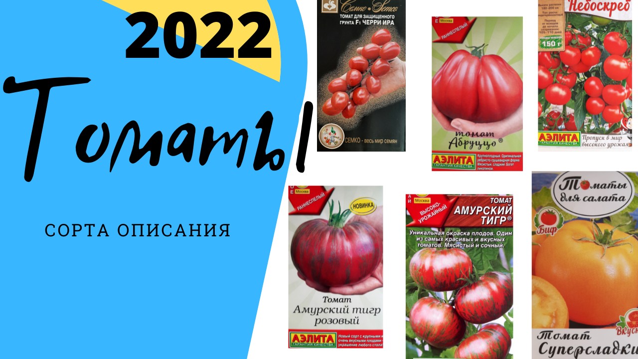 Сорта томатов. Сезон 2022.