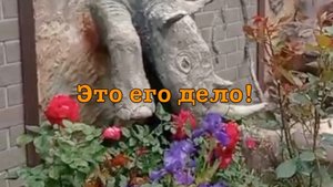 Дома...