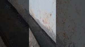 Подлили фундамент/залили отмостку ?