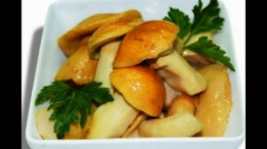 Белые грибы, соленые на зиму