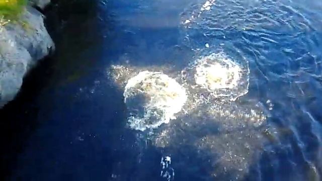 прыжки парней в Сосновце смотреть онлайн