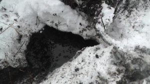Рыбалка на озере. Вот, что бывает когда на озере загар. Валом рыбы!!!