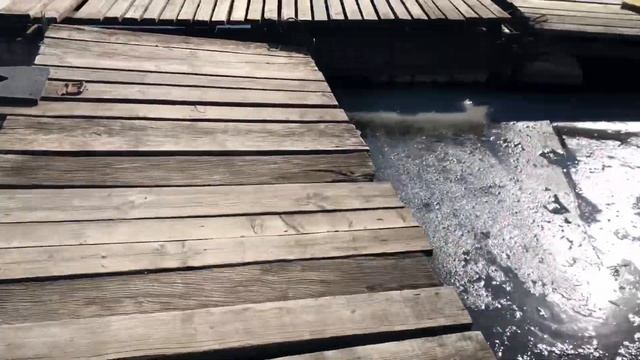 Прогресс 2м ожидаем пока растает лёд смотреть онлайн