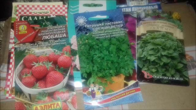 Получила посылку с семенами  любимыми пакетами Посадила лук на зелень .
