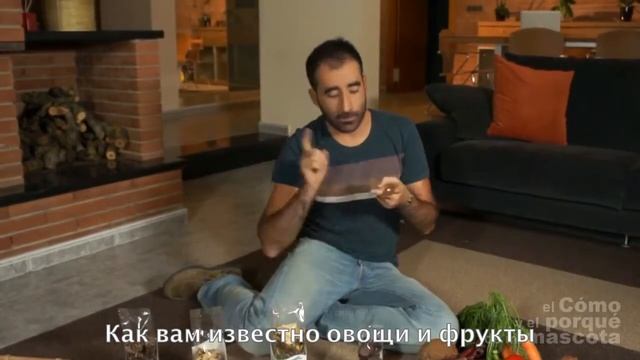 Натуральное питание хомяков - композиция