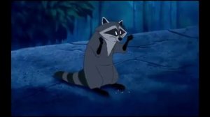 енот из покахонтас, raccoon Meeko  Pocahontas