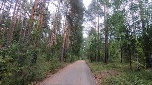 Лыжероллерная трасса. Уктус. Екатеринбург