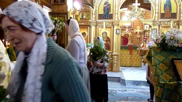 День Святой Троицы. Освящение веточек берёзы в храме. смотреть онлайн