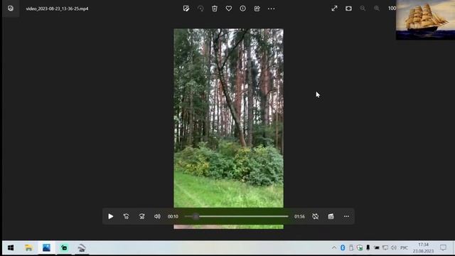 Инна Сергеевна сегодня в лесу чуть было не поймала белочку)))