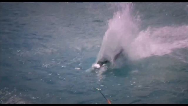 Water World Вышний Волочёк смотреть онлайн