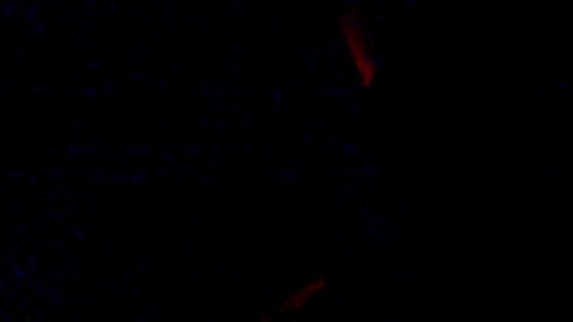 Лестница Вверх "Путешествие в Икстлан" смотреть онлайн