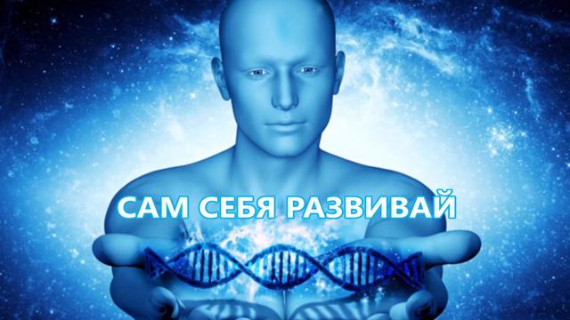 СВОБОДА ВЫБОРА И  ЛИЧНАЯ ОТВЕТСТВЕННОСТЬ