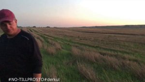 NO-TILL. Гербицид сплошного действия. август 2019