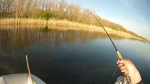 Ловля плотвы нахлыстом | Fly fishing for Roach