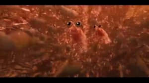 THE KRILL