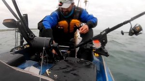 Irish Kayak Angling Club Competition 2019 - Cahore Point/ Wexford