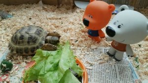 МиМиландия, Новая серия, ЧЕРЕПАХА,stop motion