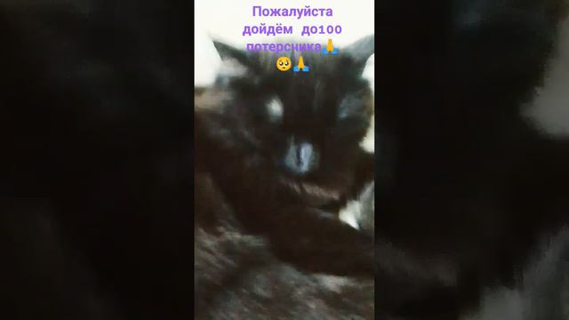 🥺пожалуйста если хотите уйду пишите в коментах🥺😮💨 смотреть онлайн