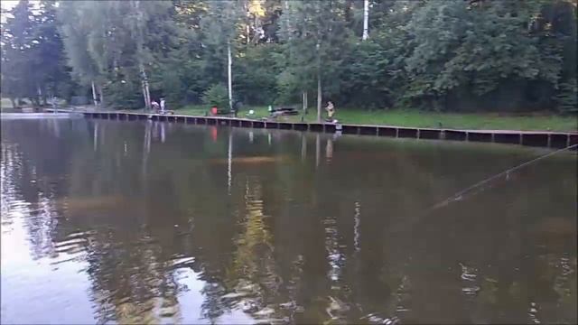 Отличный клёв форели после запуска. Клёвое место, Лосиный остров. смотреть онлайн