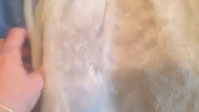 Верхняя одежда ?❄️ РАСХЛАМНЕНО! Тотальное расхламление в марафон?ГОД БЕЗ ПОКУПОК | Долой хлам!