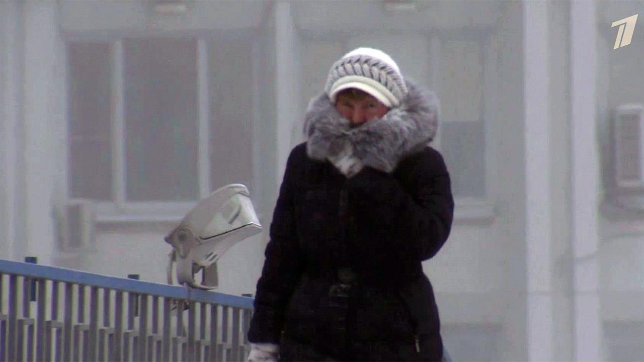 Все живое накрыло морозом. Аномальные Морозы. Первый Мороз. Узбекистан с начала декабря накроют Морозы.