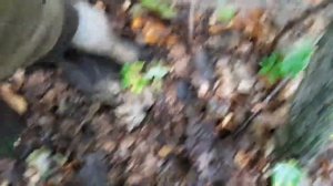 КОП. ЭХ СВАЛОЧКА СССР)))